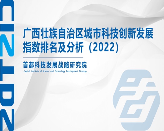 www.插逼逼网【成果发布】广西壮族自治区城市科技创新发展指数排名及分析（2022）